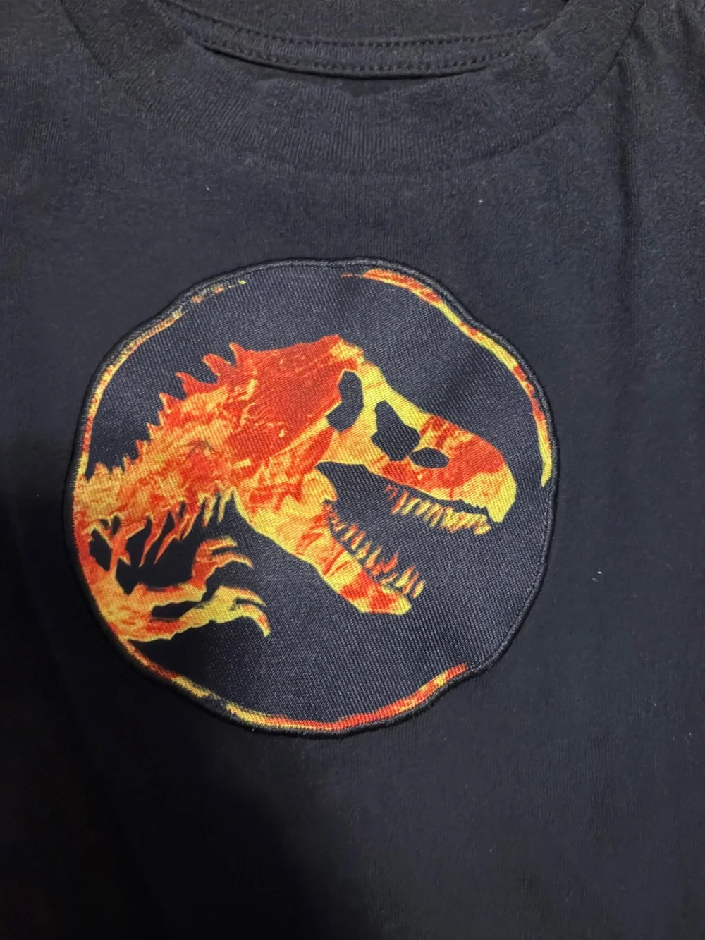 Kids Black Short-Sleeve Tee with Fiery Dinosaur Graphic